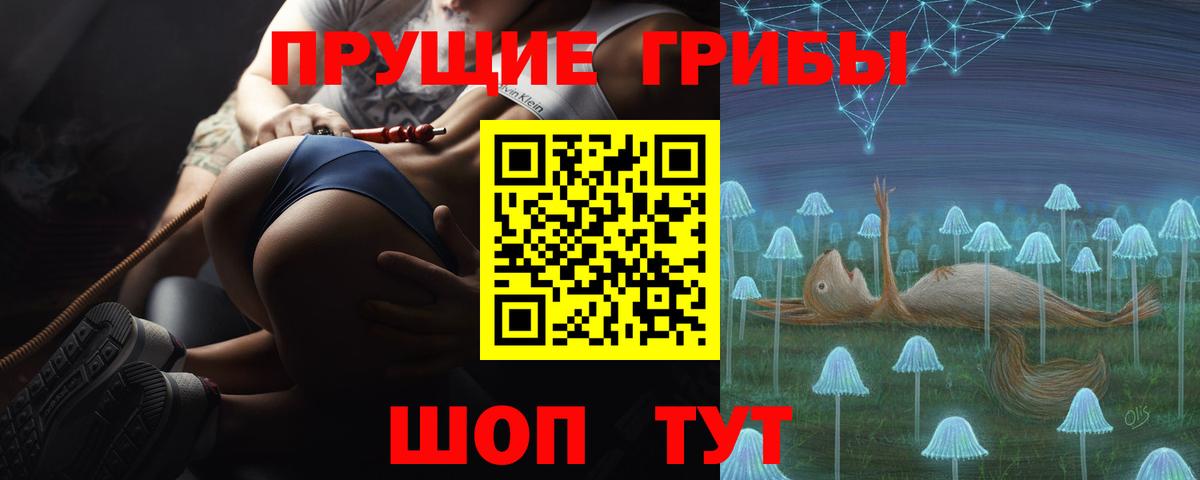 Псилоцибиновые грибы GOLDEN TEACHER Самара